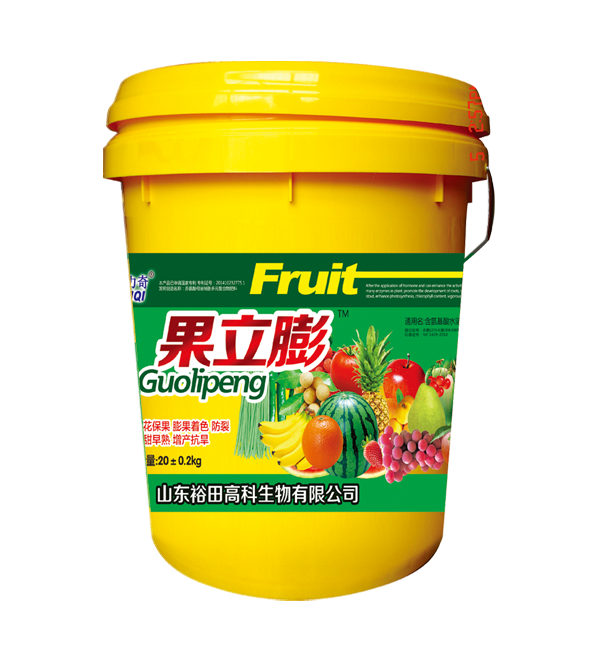 果立膨